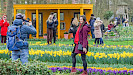 Keukenhof dagtocht vanuit Rotterdam inclusief entree en flexibele terugreis