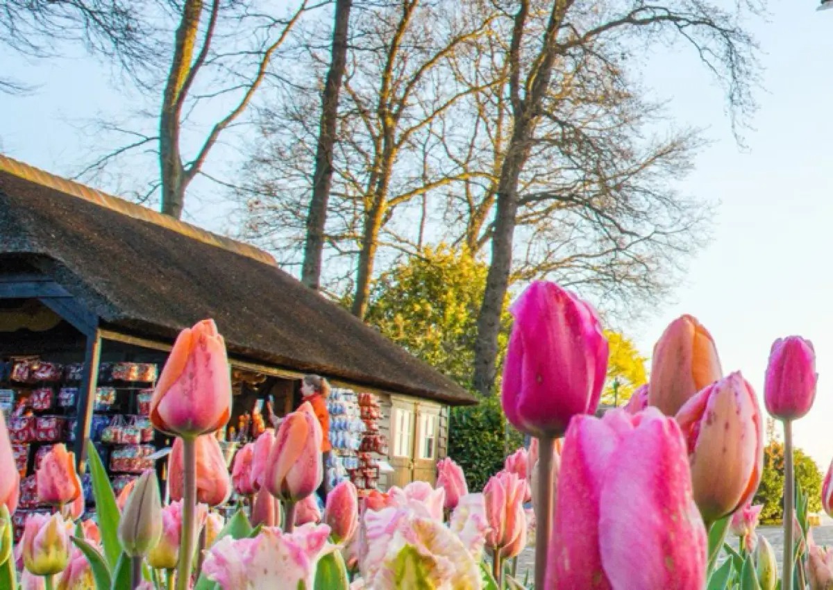 Keukenhof Tours