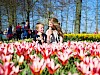 Keukenhof dagtocht vanuit Amsterdam inclusief entree en flexibele terugreis
