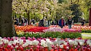 Combideal: Keukenhof Ticket + Rondvaart Amsterdam