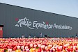 Halve dag excursie naar tulpenvelden vanuit Amsterdam - Tulip Experience