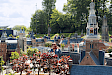 Dagtocht naar Keukenhof en Madurodam vanaf Amsterdam