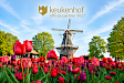 Amsterdam Airport naar Keukenhof + entree met flexibele retour