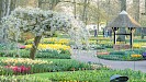 Amsterdam Airport naar Keukenhof + entree met flexibele retour
