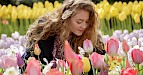 Keukenhof entree & excursie vanuit Den Haag