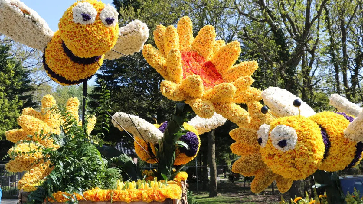Dagtocht naar Bloemencorso, Haarlem en Keukenhof