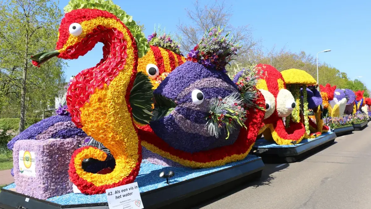 Dagtocht naar Bloemencorso, Haarlem en Keukenhof