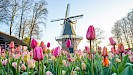 Dagtocht naar Bloemencorso en Keukenhof