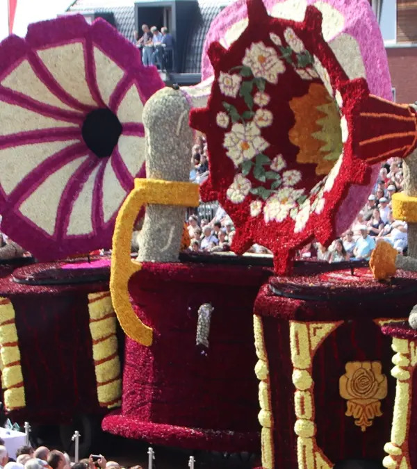 Dagtocht naar Bloemencorso en Tulpenboerderij