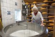 Halve dagtocht naar windmolens en luxe kaasfabriek op de Zaanse Schans