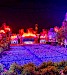 Escursione al Concerto di Natale di André Rieu a Maastricht