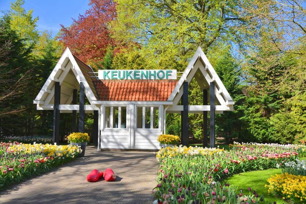 Wat te Doen in Amsterdam in 2 Dagen: De Perfecte Reisroute