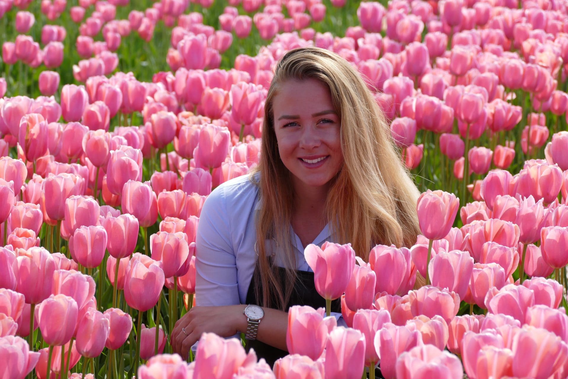 ¿Vale la pena visitar Keukenhof? ¡Descúbrelo ahora!