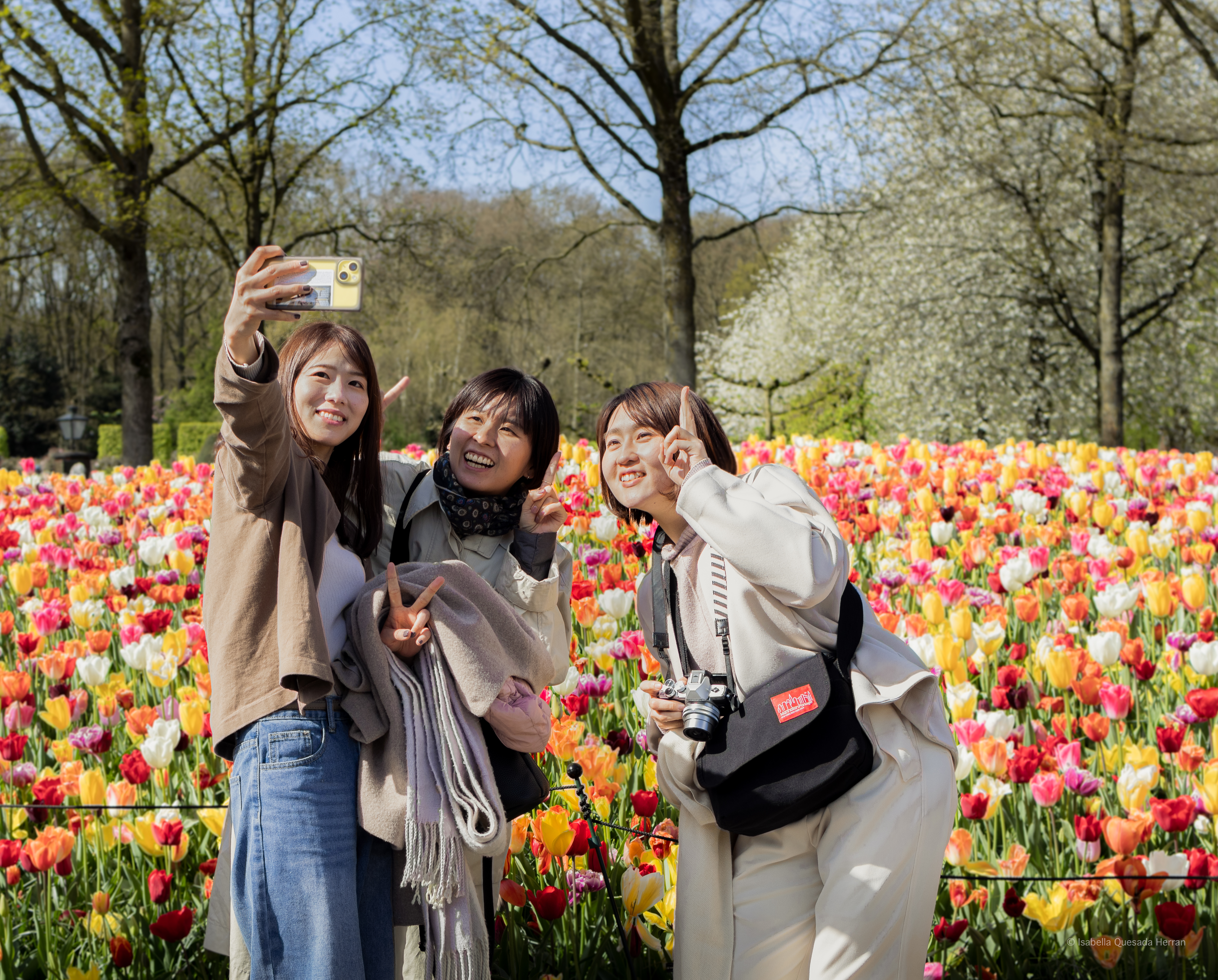 D’Amsterdam à Keukenhof avec Hop On Hop Off Holland