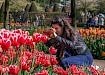 Dagtocht Keukenhof & Tulip Experience flexibele retourtijden