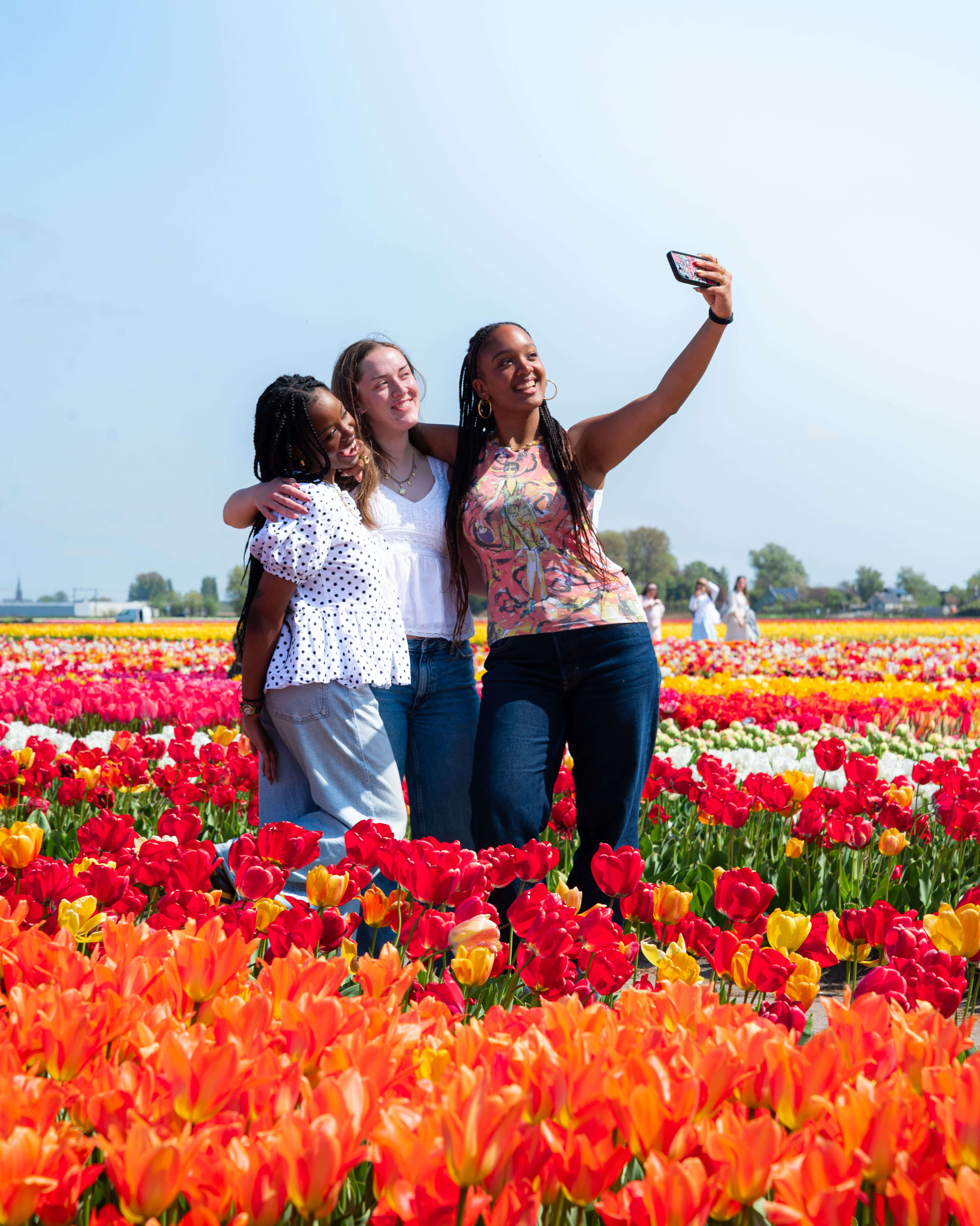 Tulip Experience
