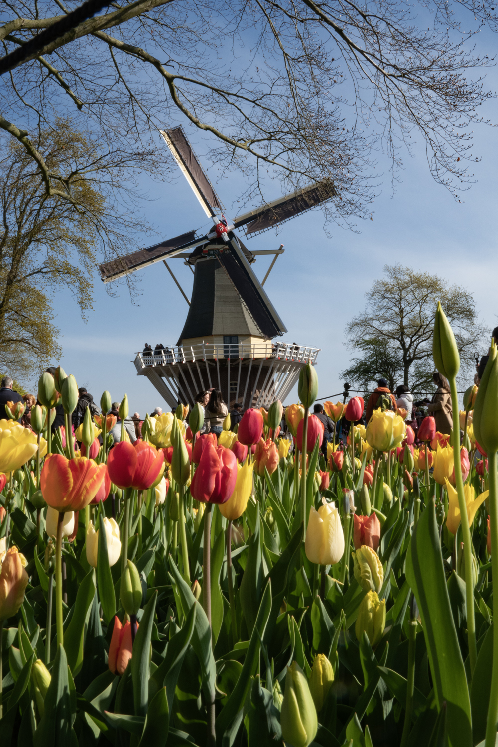 Combinado: excursão ao Keukenhof saindo de Amsterdã & THIS IS HOLLAND