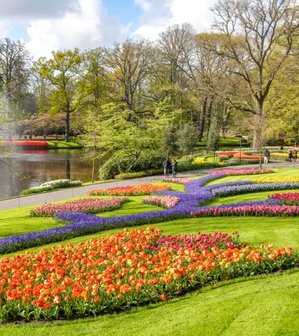 Bus Tour to the Keukenhof and Tulip fields | Book here!